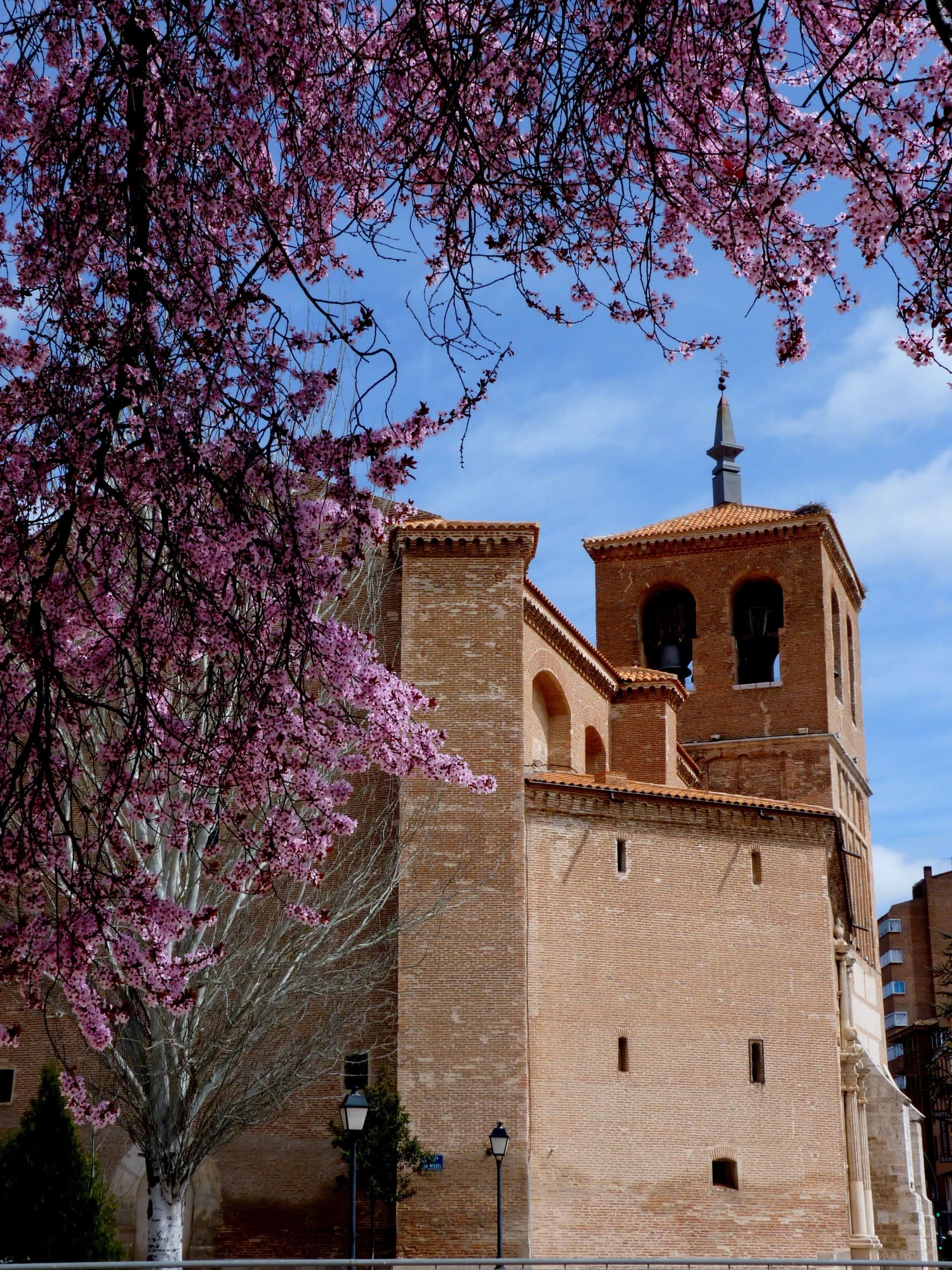 Medina del Campo en primavera (2) (2)