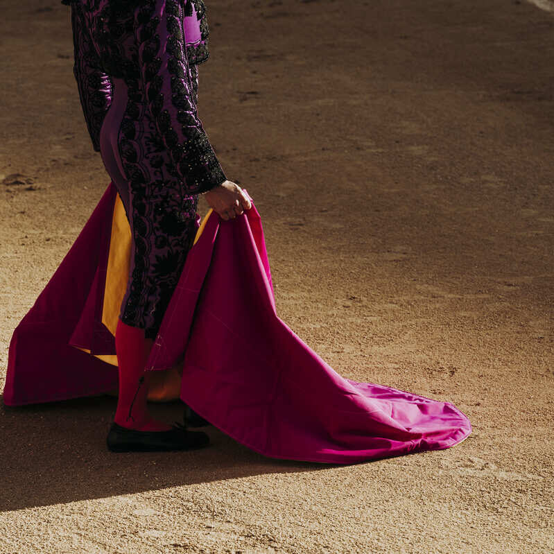 coraje y tradición toros en Medina del Campo (1) (2)