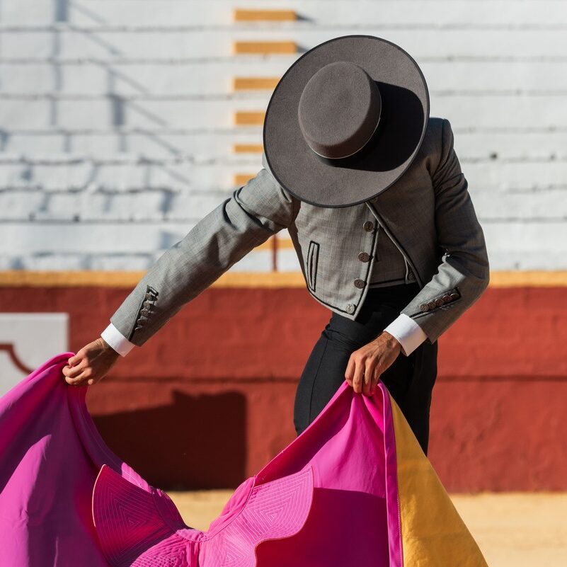 coraje y tradición toros en Medina del Campo (2) (1)