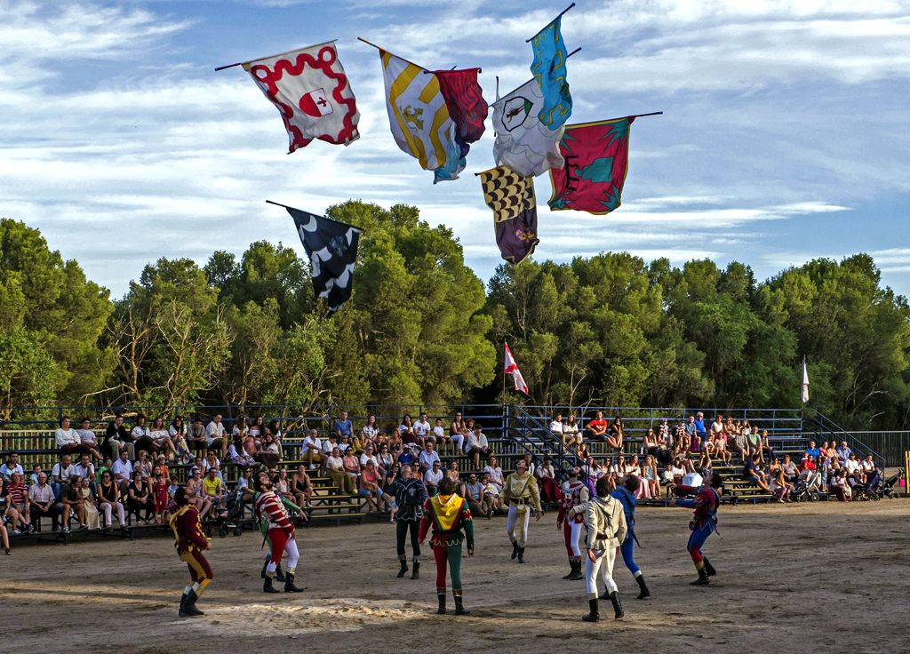 Imperiales-comuneros (15)