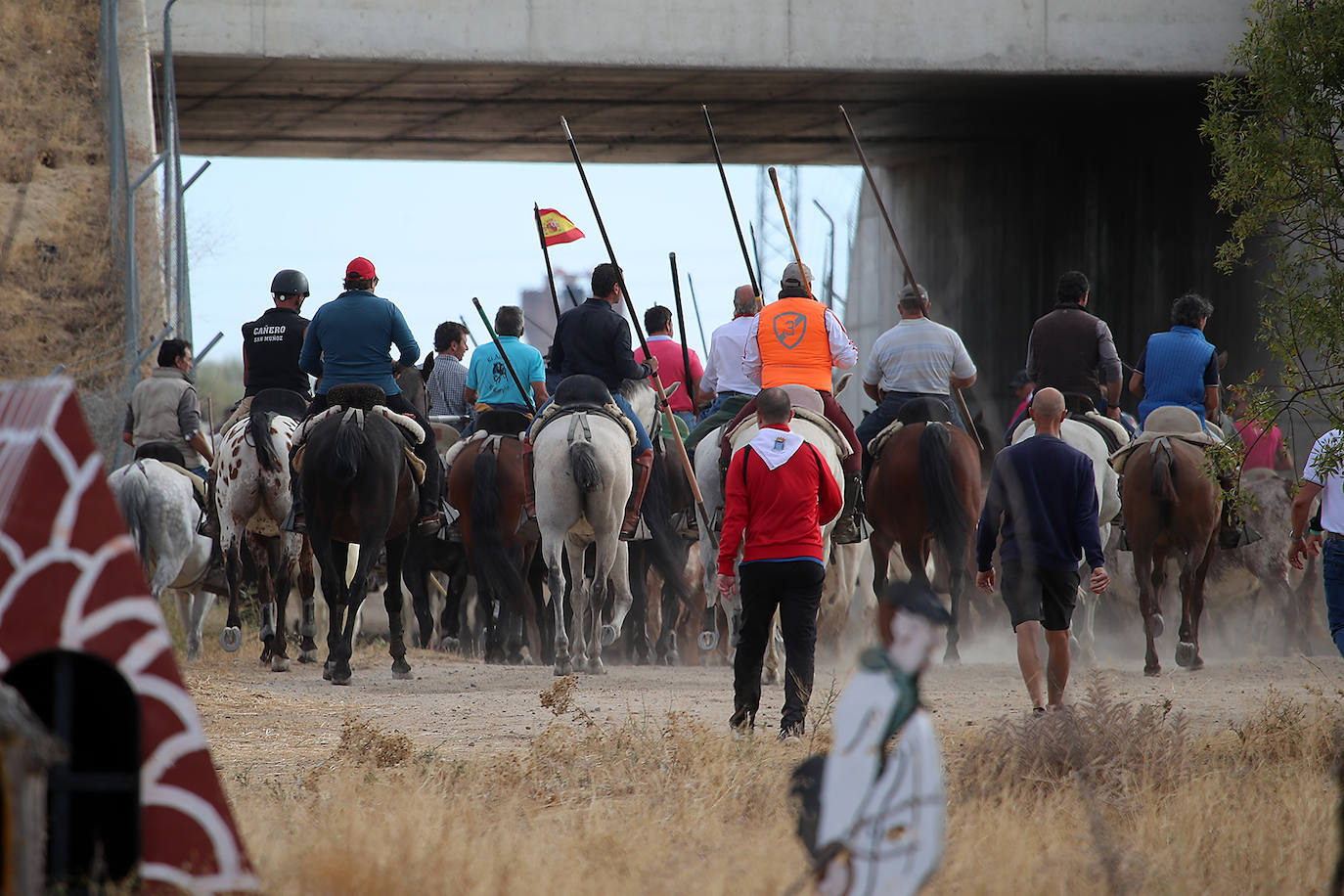 encierros medina del campo (4)