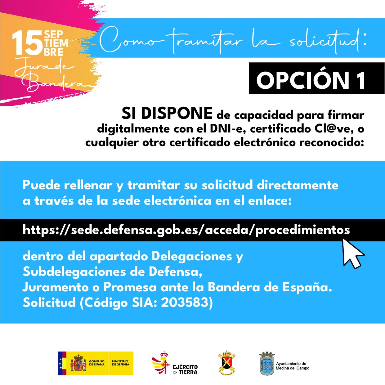 jura de bandera civil-Medina del Campo (3)